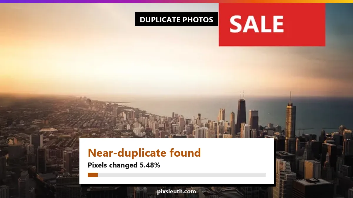 How to Find Duplicate Photos on Your Computer Free (5 Easy Methods)