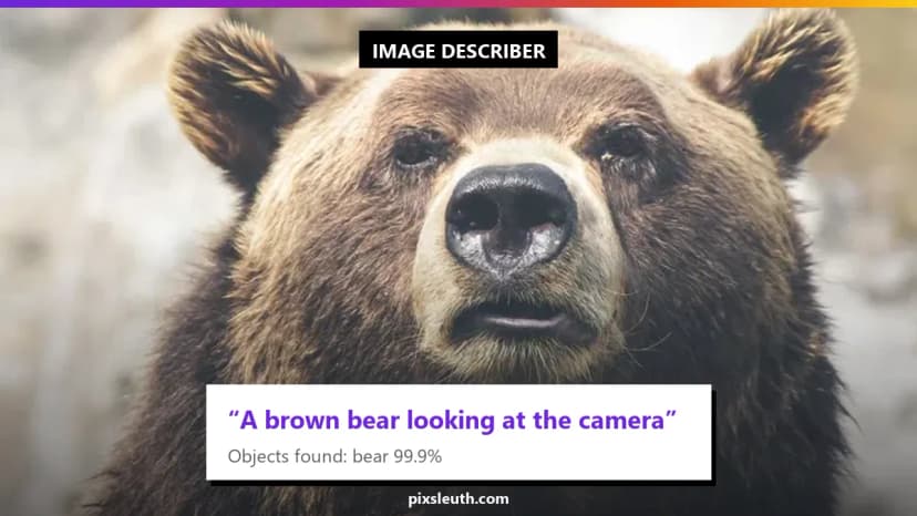 Image Analyzer: AI-Powered Object Detection & Image Classification
