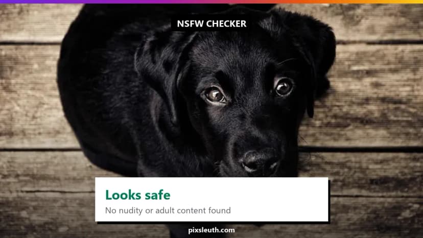 NSFW Image Checker: Detecting Adult Content Automatically