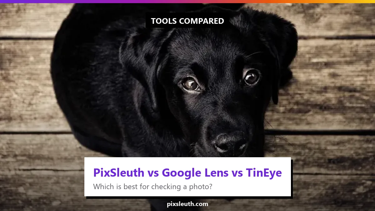 PixSleuth vs. Google Lens vs. TinEye: Which is Best for Image Forensics?