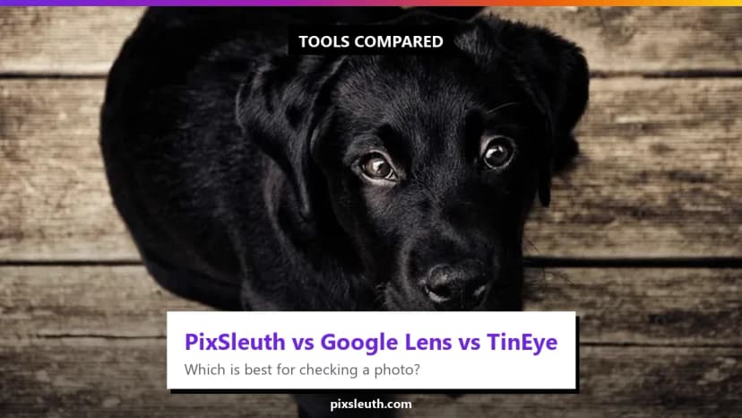 PixSleuth vs. Google Lens vs. TinEye: Which is Best for Image Forensics?